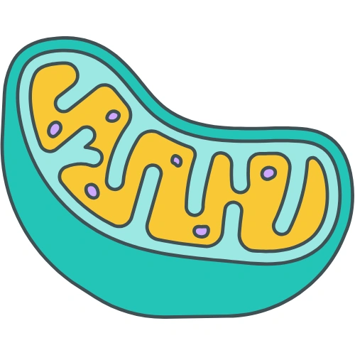 Molecular biology Conferences