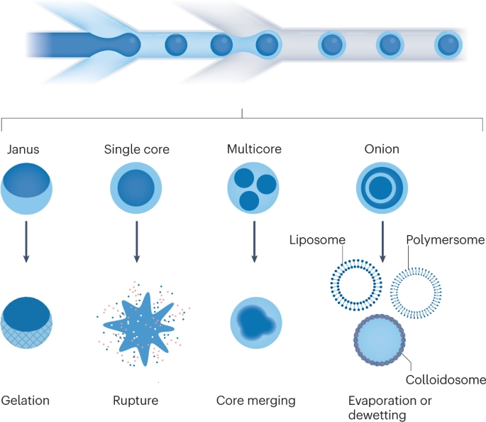 Molecular biology Conferences Molecular biology Conferences
