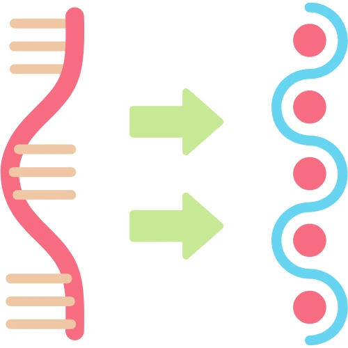Molecular biology Conferences